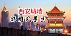 中出极品美鲍中国陕西-西安城墙旅游风景区